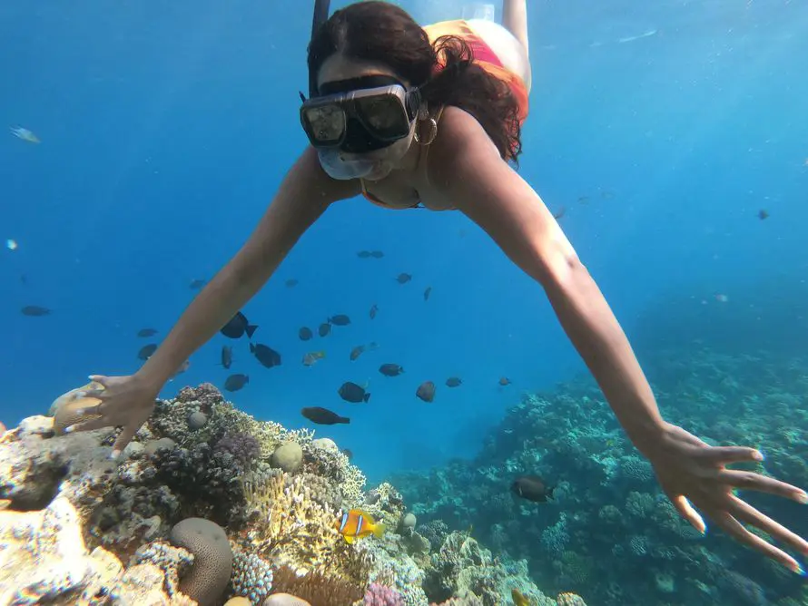 Islands and Snorkeling Tour
